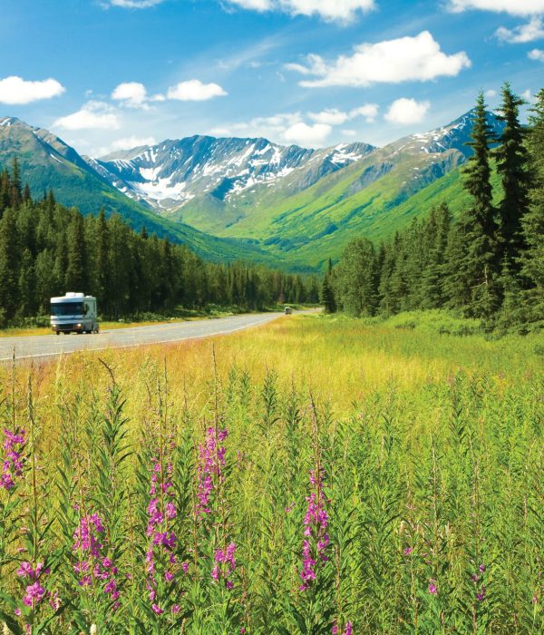 Alaska, Highways, Seward Highway, Kenai Peninsula, view of newer passing lanes west of Turnagain Pass, roadside fireweed